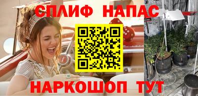 молекула духа Жуковский