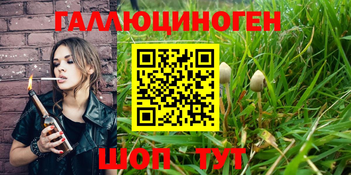 Псилоцибиновые грибы GOLDEN TEACHER  Вход с VPN  Луховицы 